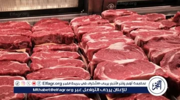 اليوم السبت.. أسعار اللحوم في أرخص محال الجزارة بالأسواق